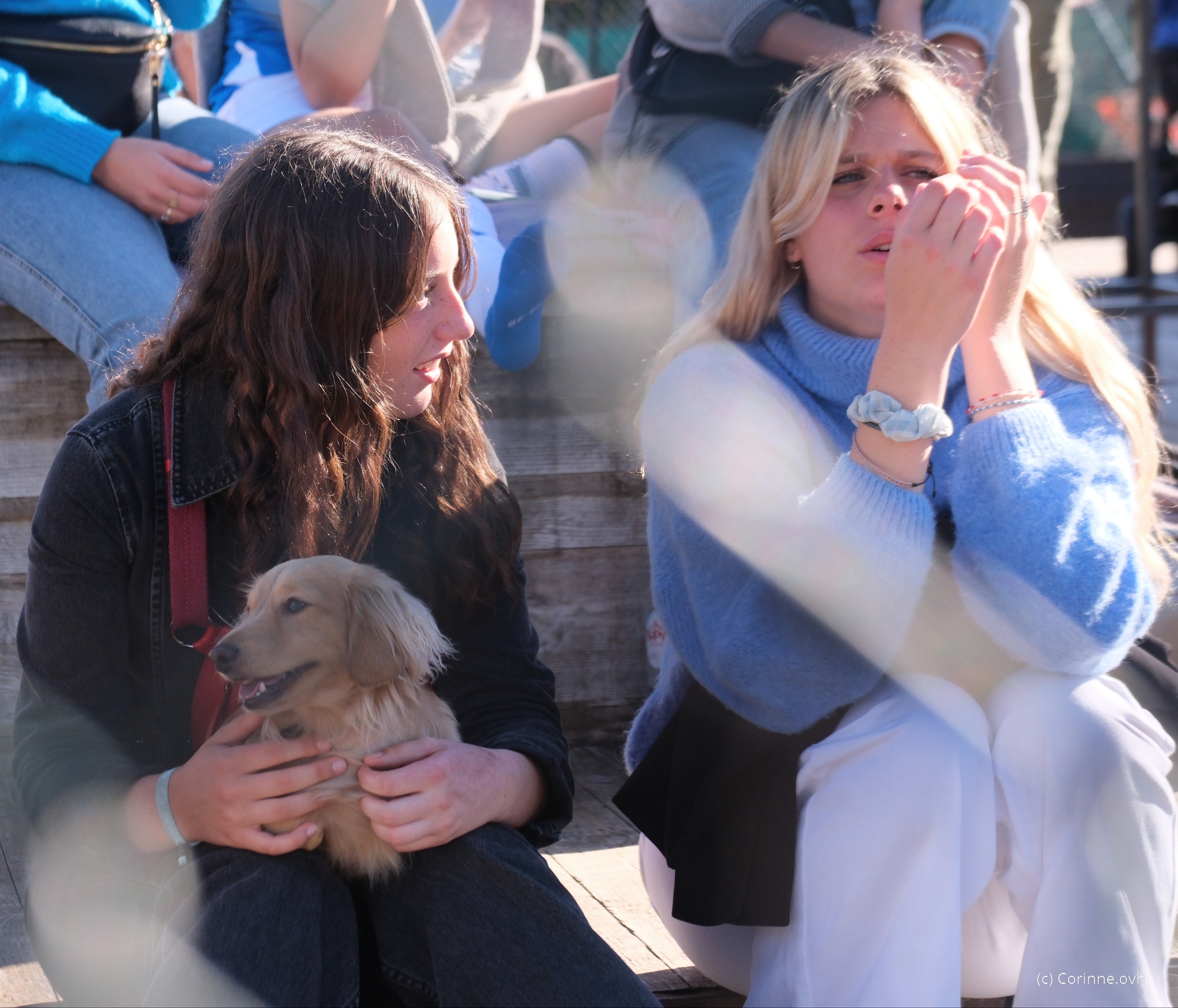 20230924 153530 copier